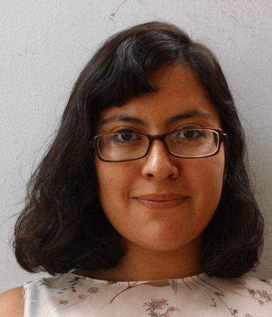 Hillary Enríquez Díaz